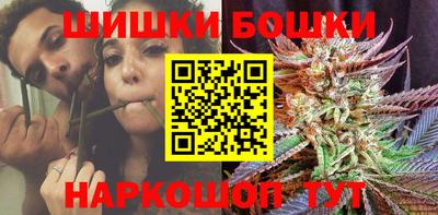 индика Рузаевка