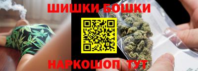 индика Рузаевка