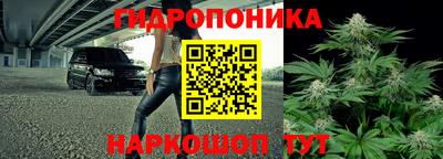 индика Рузаевка