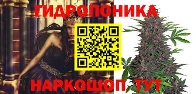 индика Рузаевка