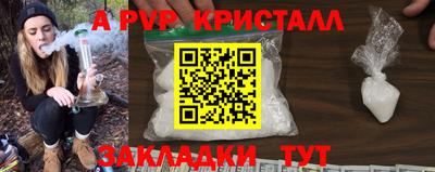 индика Рузаевка