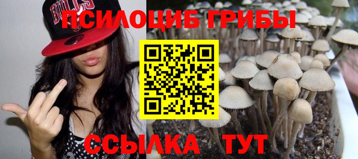 Псилоцибиновые грибы Cubensis  Вход с VPN  Алейск 