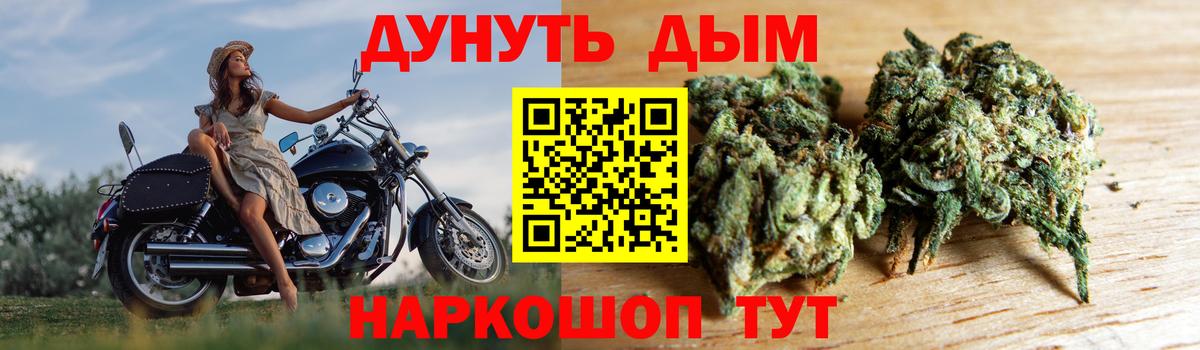 Каннабис гибрид Алейск